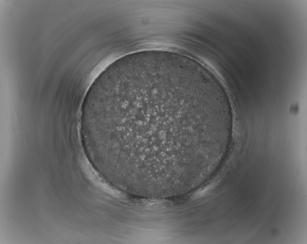 X0000113070899200909110937