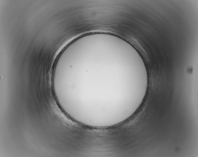 X0000113070900200909110937