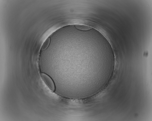 X0000113070901200909110937