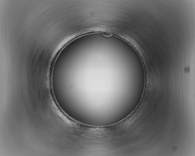 X0000113070902200909110937