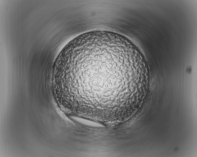 X0000113070903200909110937