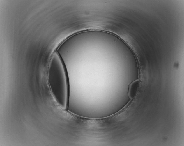 X0000113070904200909110937