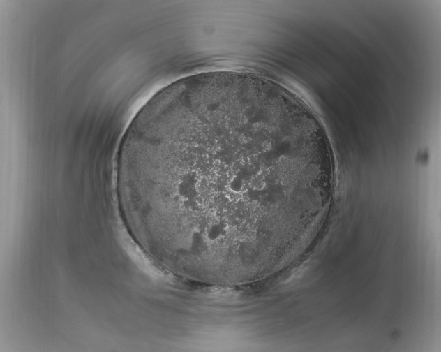 X0000113070907200909110937