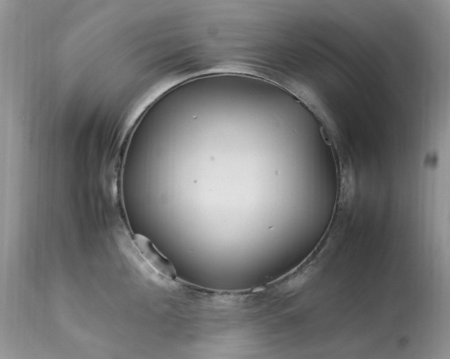 X0000113070908200909110937