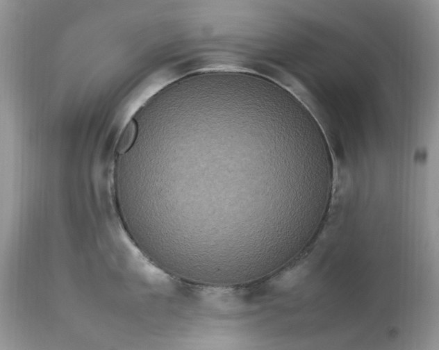 X0000113070909200909110937