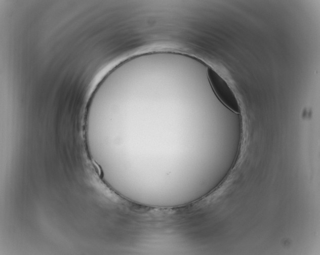 X0000113070912200909110937