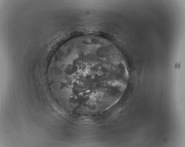 X0000113070913200909110936