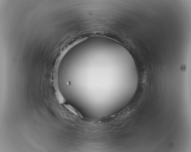 X0000113070916200909110936