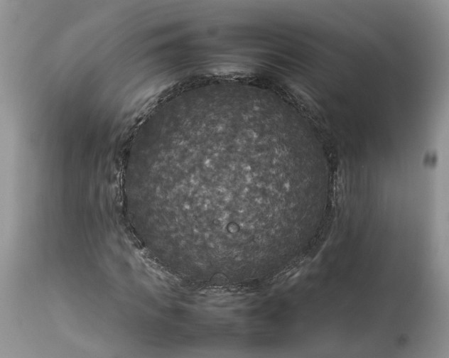 X0000113070917200909110936