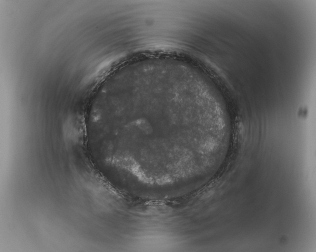 X0000113070918200909110936