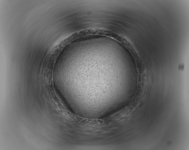 X0000113070919200909110936