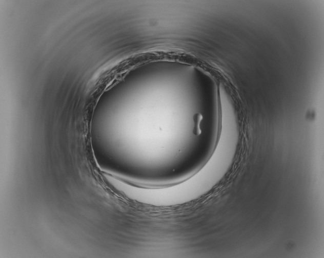 X0000113070920200909110936