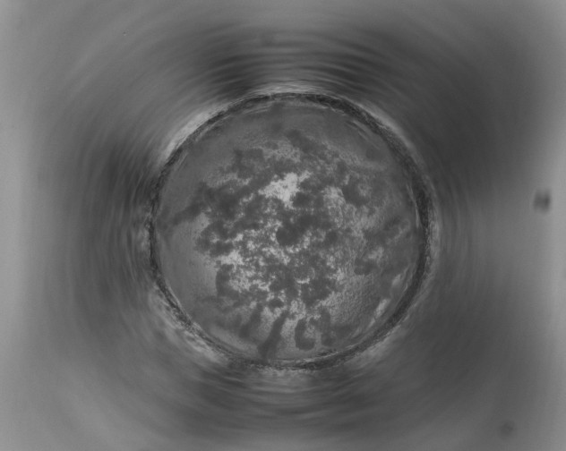 X0000113070921200909110936