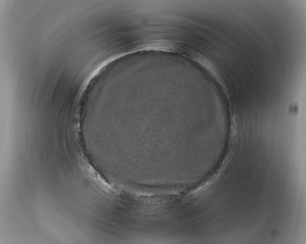 X0000113070923200909110936