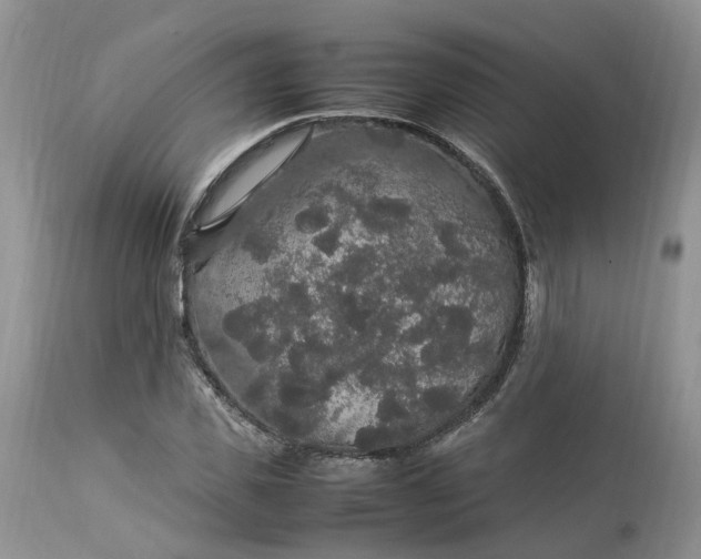 X0000113070925200909110936