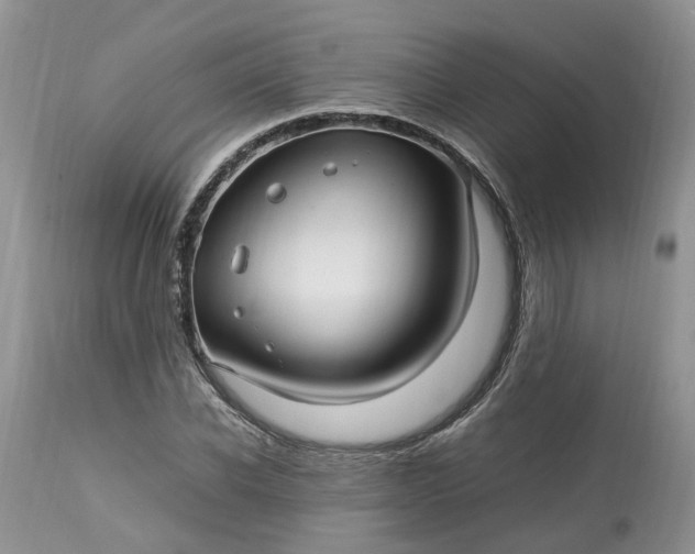 X0000113070926200909110936