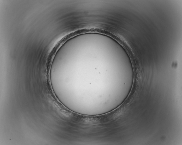 X0000113070927200909110937