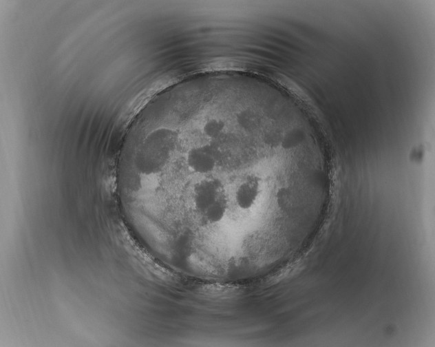 X0000113070929200909110937