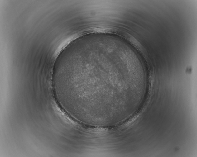 X0000113070930200909110937