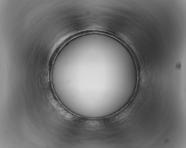 X0000113070931200909110937