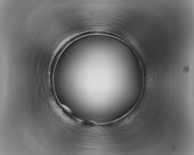 X0000113070932200909110937