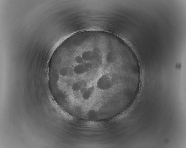 X0000113070933200909110937