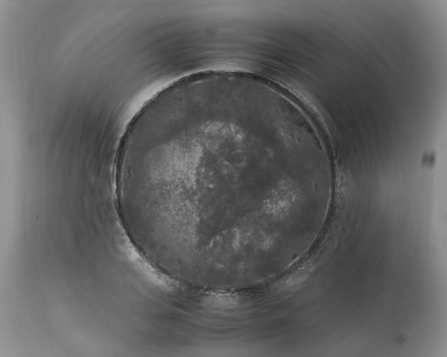 X0000113070935200909110937