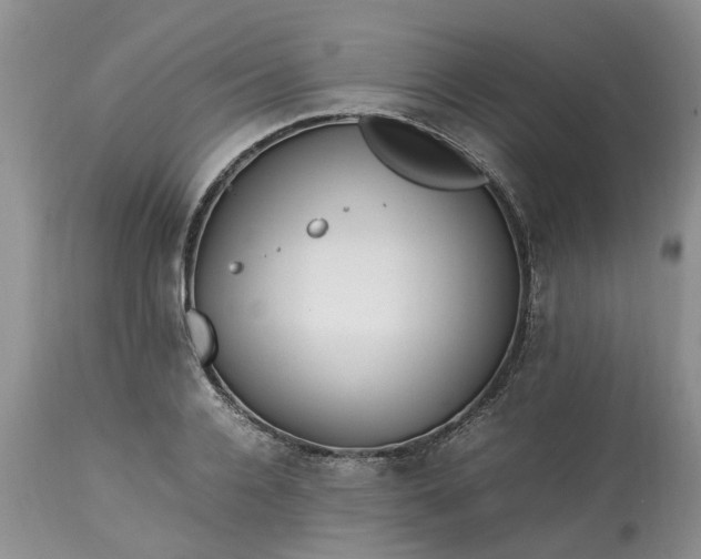 X0000113070936200909110937