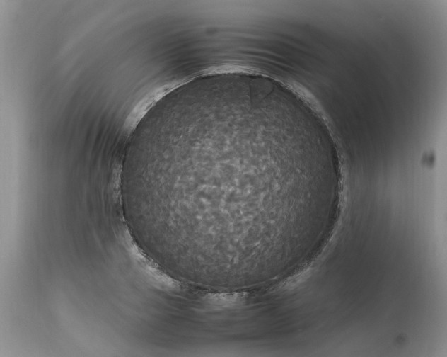 X0000113070937200909110937