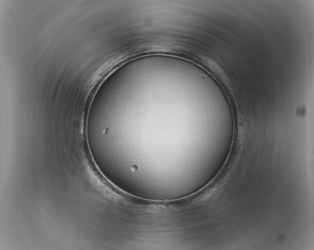 X0000113070938200909110937