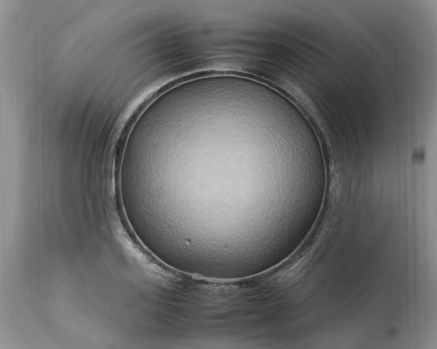 X0000113070939200909110937