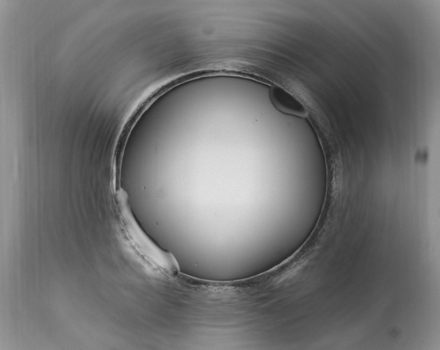 X0000113070940200909110937