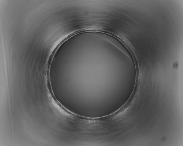 X0000113070941200909110937