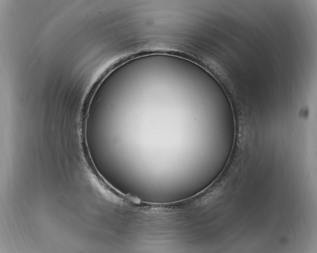 X0000113070942200909110937