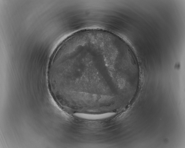 X0000113070943200909110937