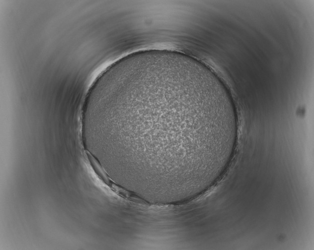 X0000113070944200909110937