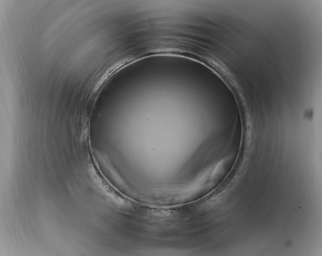 X0000113070945200909110937