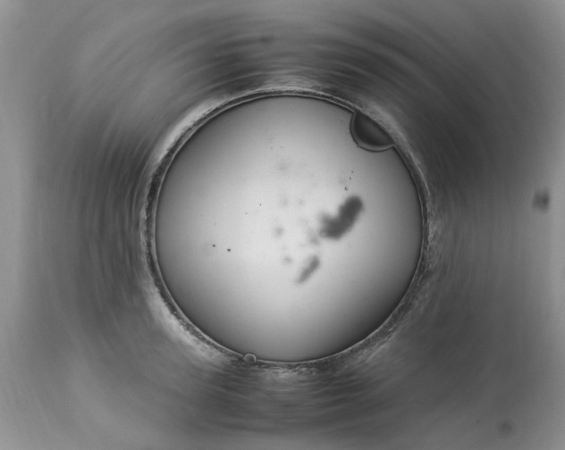 X0000113070947200909110937