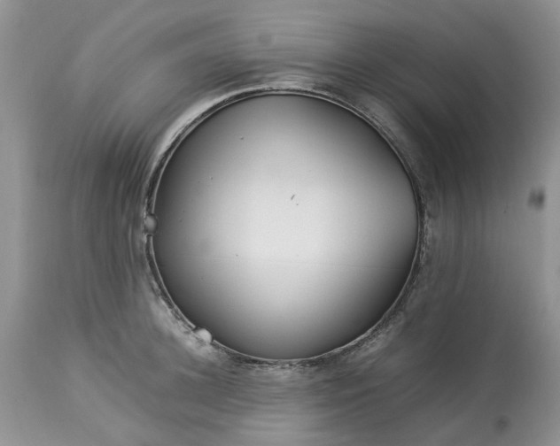 X0000113070948200909110937