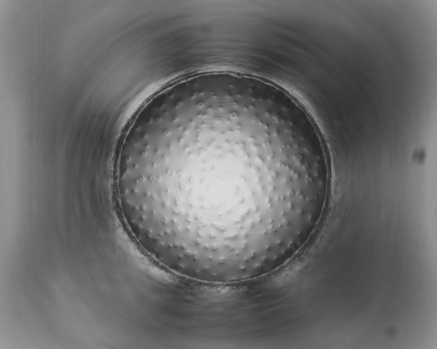 X0000113070949200909110937