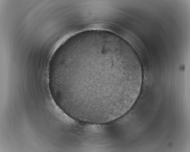 X0000113070950200909110937