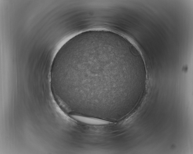 X0000113070951200909110937