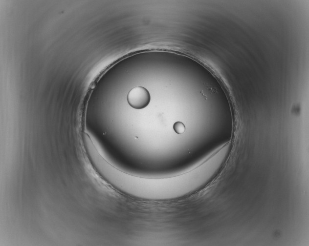 X0000113070952200909110937