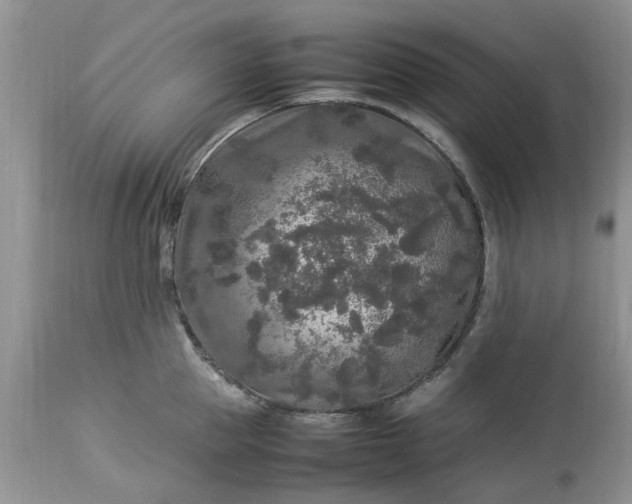 X0000113070953200909110937