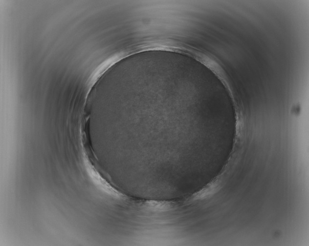 X0000113070954200909110937