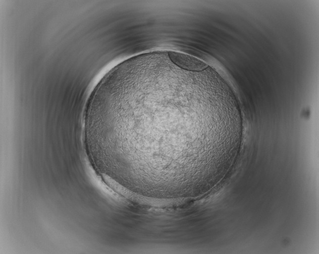 X0000113070955200909110937