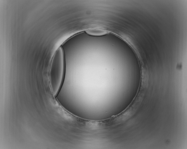 X0000113070956200909110937