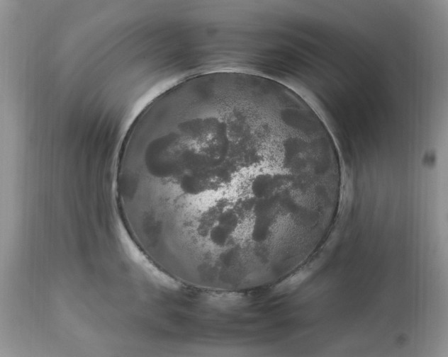 X0000113070957200909110937