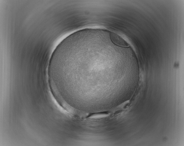 X0000113070959200909110937