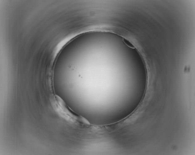 X0000113070960200909110937